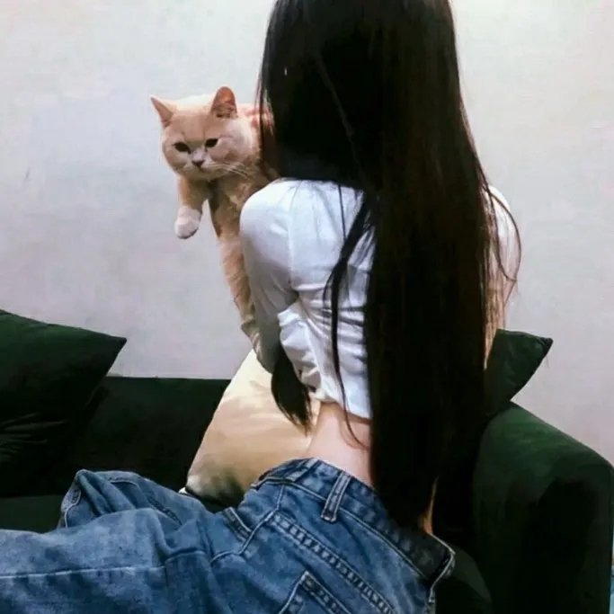 狐狸新娘星